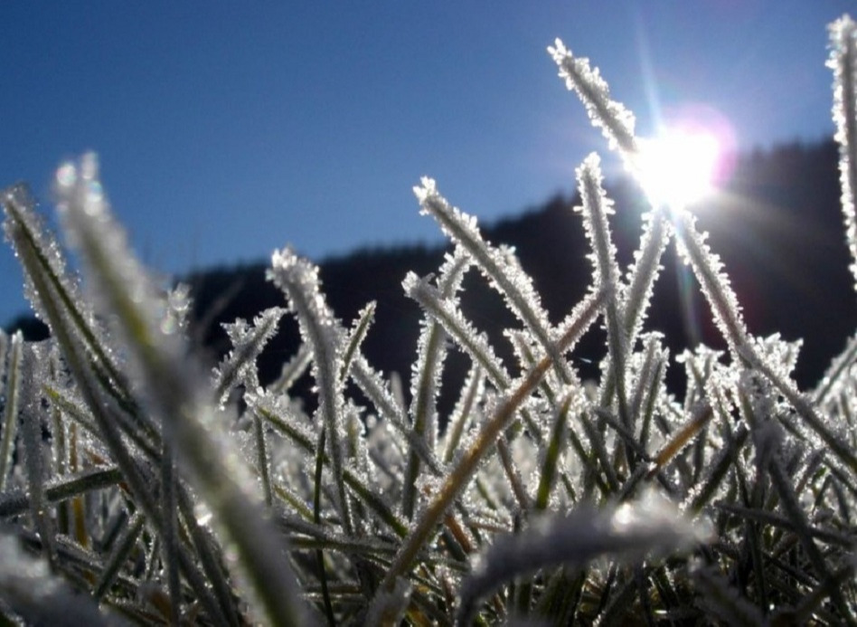 Ирэх 10 хоногийн цаг агаарын урьдчилсан төлөв